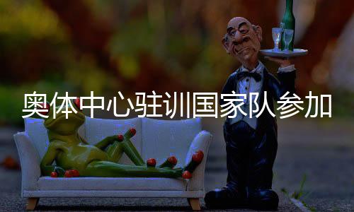 奥体中心驻训国家队参加非遗艺术嘉年华活动