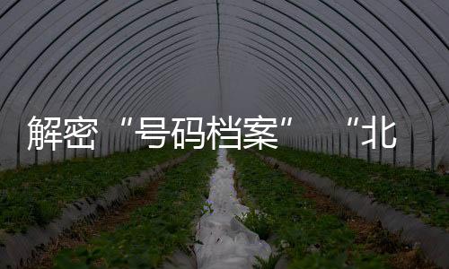 解密“号码档案” “北京篮球历史艺术季第二季”启动