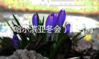 大众娱乐网移动办公OA系统手机版APP下载中心