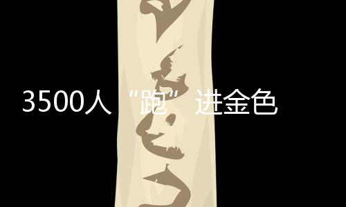 3500人“跑”进金色油画 湖南南县花海马拉松飘起小龙虾香