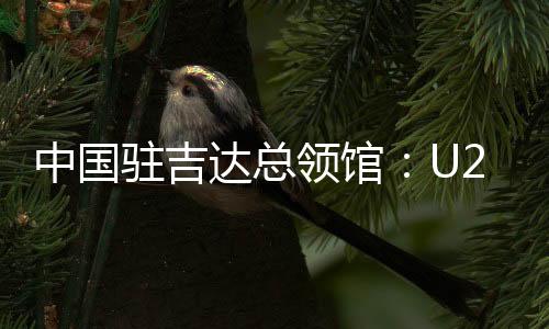 中国驻吉达总领馆：U23亚洲杯决赛“中国人免票”为不实资讯