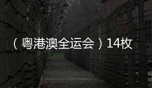 （粤港澳全运会）14枚金牌花落各家 全运会展中国跳水新风采