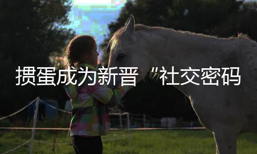 掼蛋成为新晋“社交密码” 多地举办相关赛事
