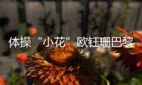 大众娱乐网文体卫生产业设备集采综合服务平台