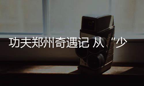 功夫郑州奇遇记 从“少林”到“八极”,不停息的功夫梦
