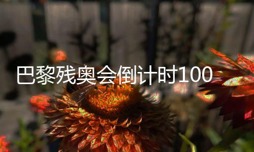 巴黎残奥会倒计时100天 我国已获19个大项参赛资格