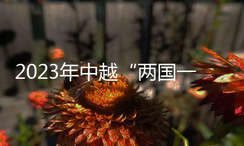 2023年中越“两国一赛道”国际自行车赛举行