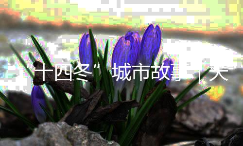 “十四冬”城市故事｜天天都有那达慕，这里是陈巴尔虎旗