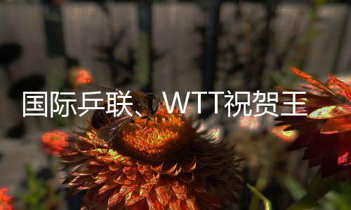 国际乒联、WTT祝贺王励勤当选中国乒协主席 向刘国梁致谢