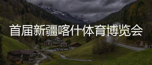 首届新疆喀什体育博览会开幕 “智慧体育”产品受关注