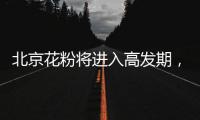 大众娱乐网官方响应式多终端网页版面配置管理